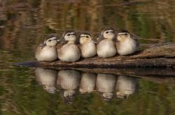 开云体育中国-年度焦点之战之夜，克莱·汤普森打出生涯之夜