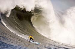 开云APP-勇士完胜凯尔特人，保罗成为关键先生