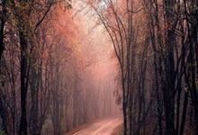 开云体育官网-伯恩茅斯失利再添，降级形势雪上加霜的简单介绍