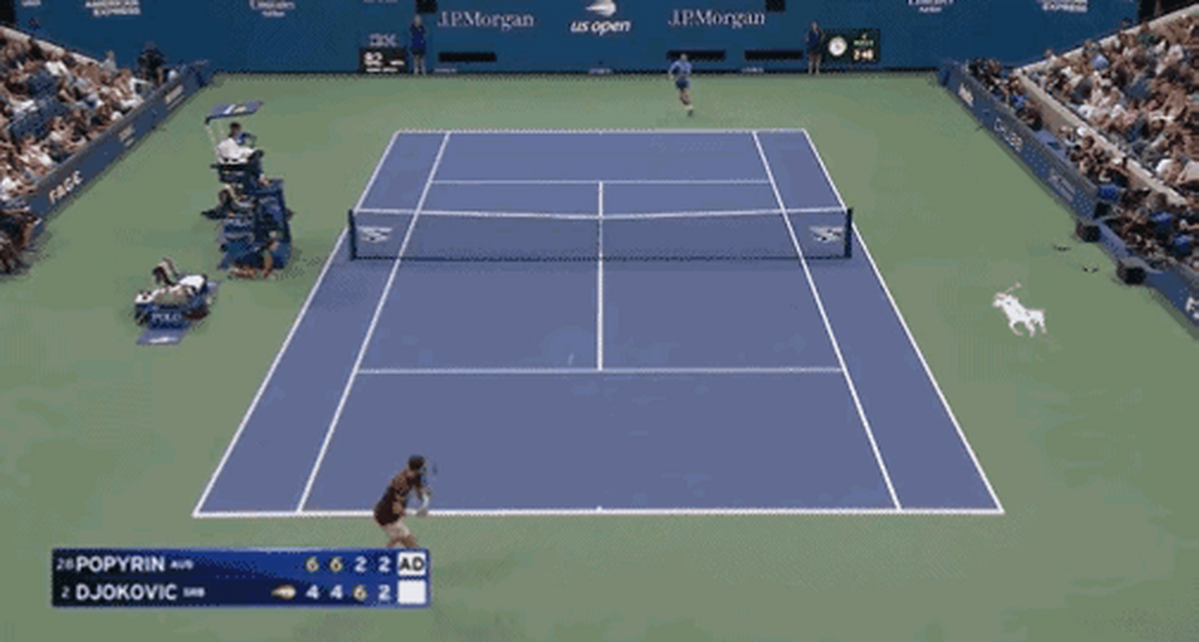 关于美国网球队轻取世界网球队，德约科维奇统治全场的信息