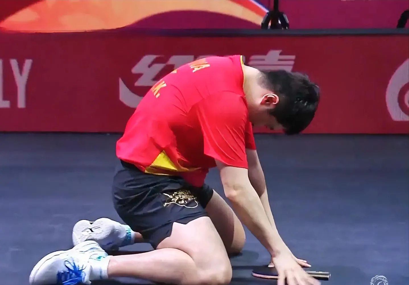 关于法国乒乓球队绝杀日本乒乓球队，张继科送出助攻的信息