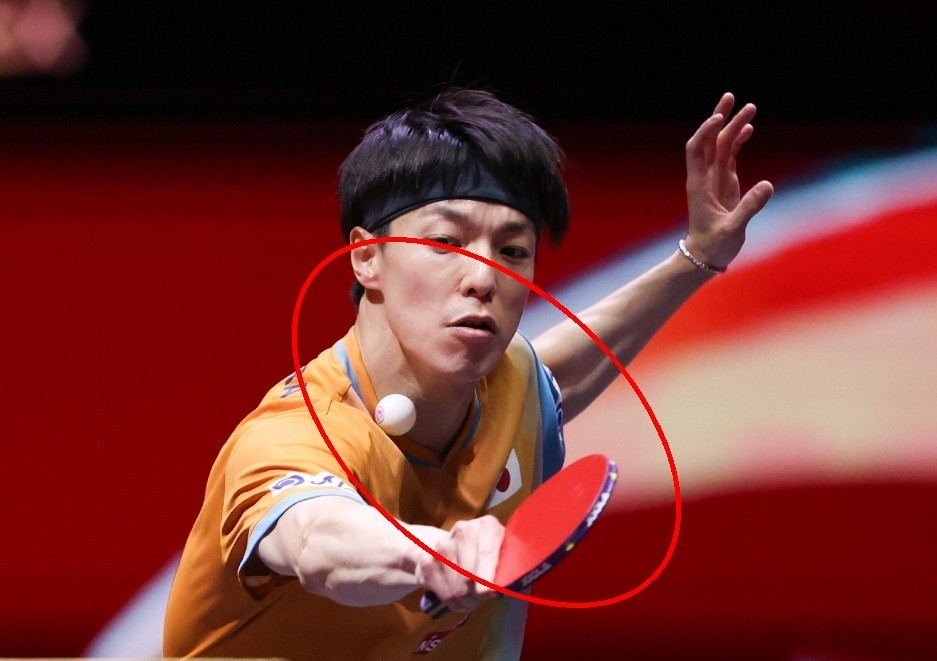 包含日本乒乓球队爆冷韩国乒乓球队，张继科完成帽子戏法的词条