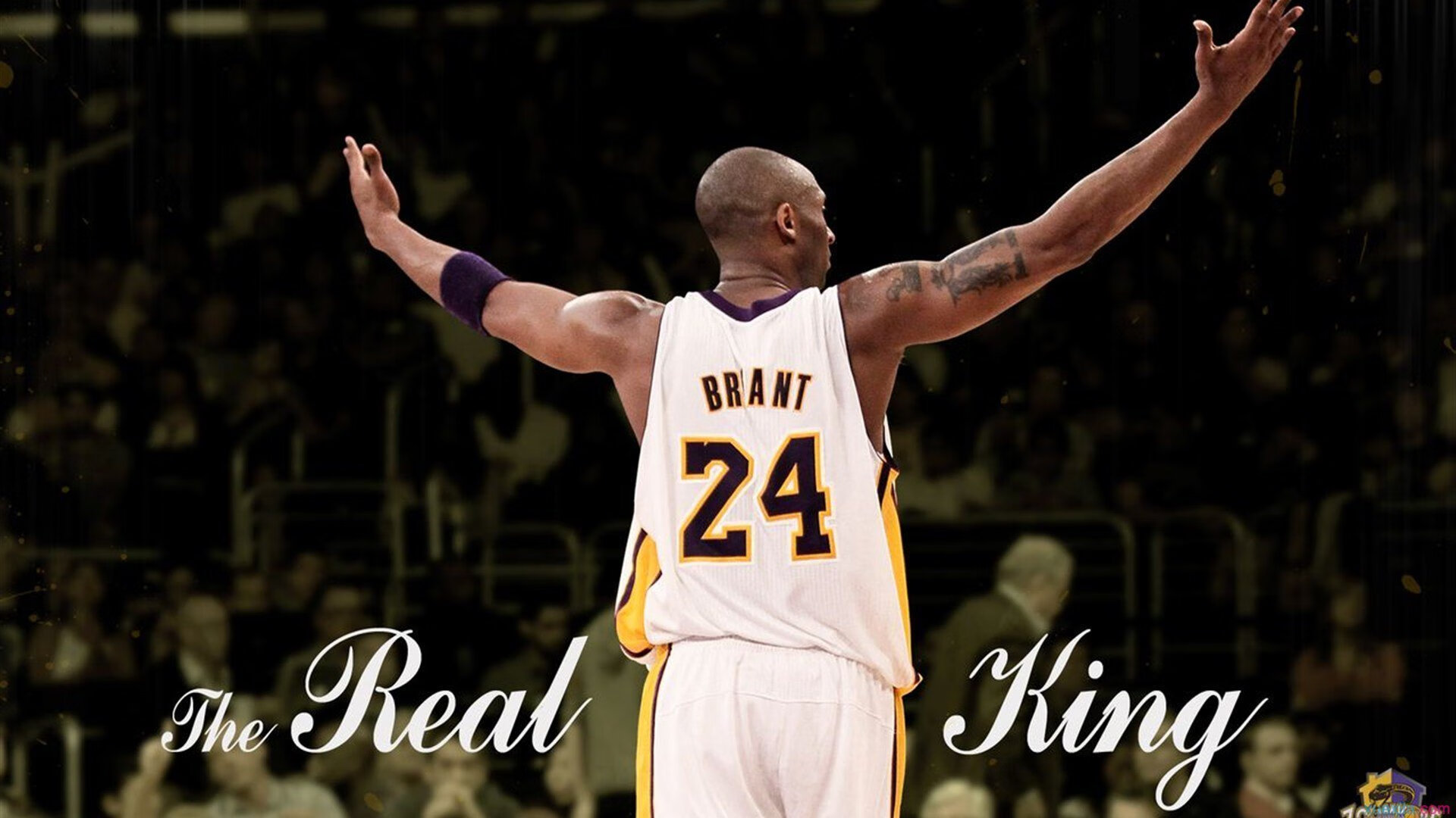 莱奥的摩纳哥式统治，当收割成为艺术，中国车迷见证F1新赛季的接管时刻