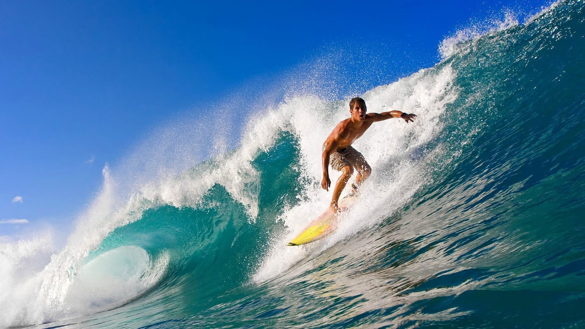 班凯罗西决生死战封神记，灰熊鏖战开拓者，新王于绝境中诞生