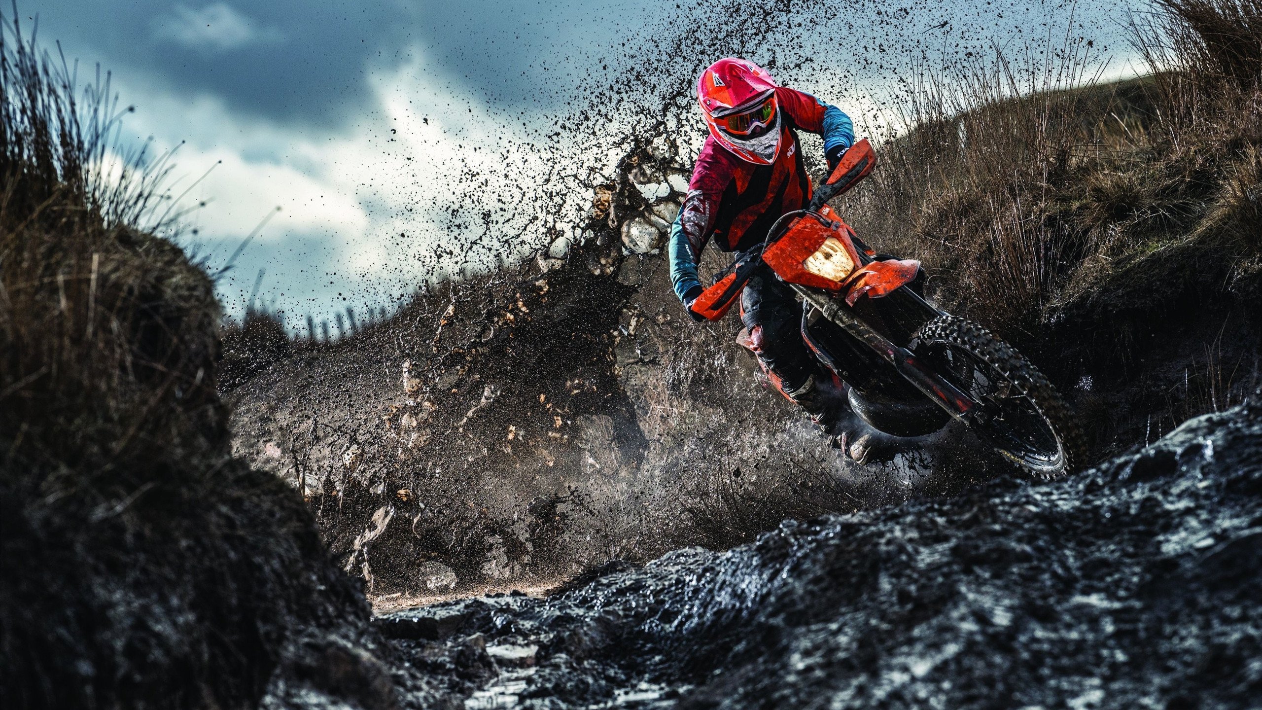 卡拉斯科临危救主，澳大利亚逆转塞内加尔的战术密码